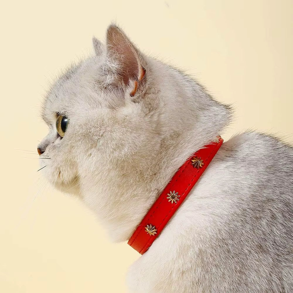 collier cuir chat avec motifs dorés rouge