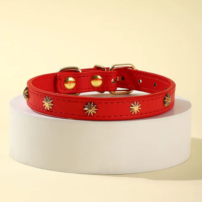 collier cuir chat avec motifs dorés