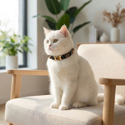 COLLIER CUIR POUR CHAT | DÉCORATION YEUX DE TIGRE - Leschamour