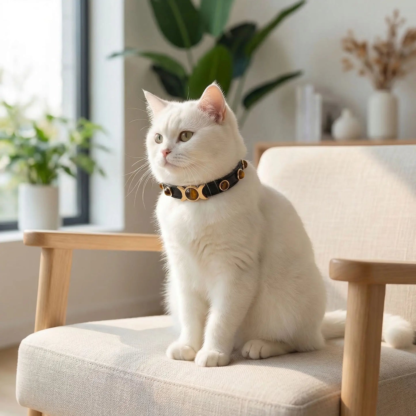 Collier cuir pour chat décoration yeux de tigre