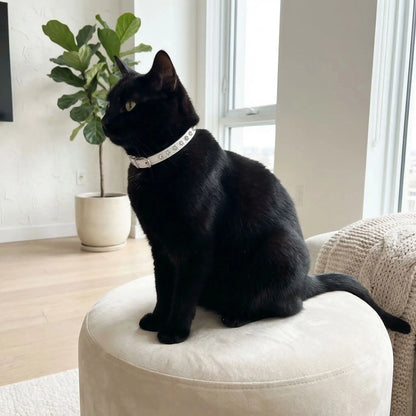 Collier en cuir pour chat strass blanc