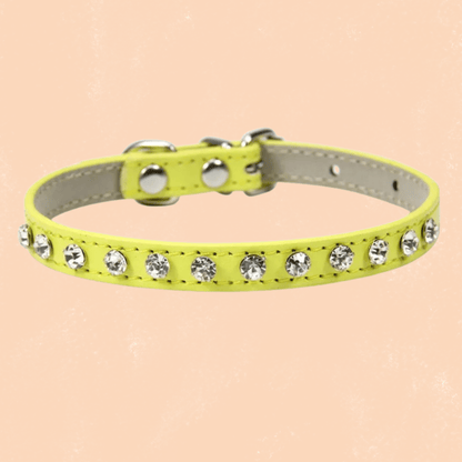 COLLIER EN CUIR POUR CHAT | STRASS ÉLÉGANT - Leschamour