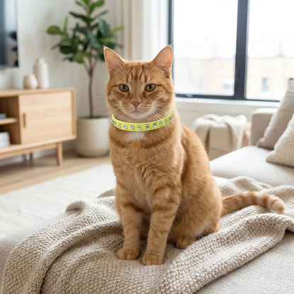COLLIER EN CUIR POUR CHAT | STRASS ÉLÉGANT - Leschamour