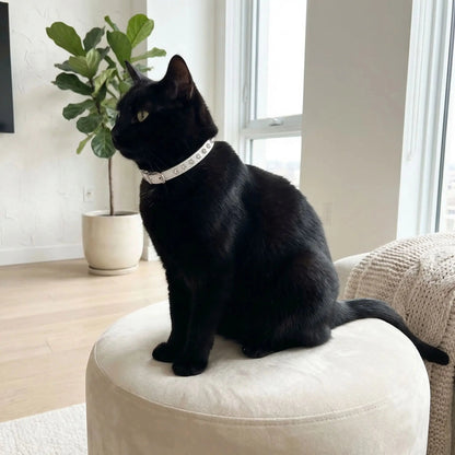 COLLIER EN CUIR POUR CHAT | STRASS ÉLÉGANT - Leschamour