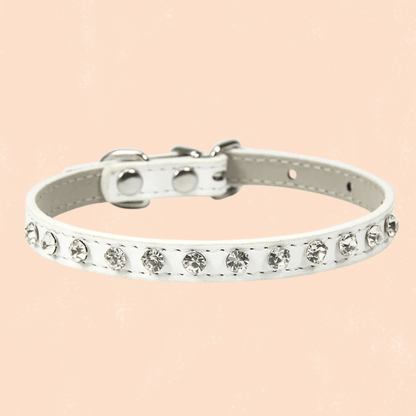 COLLIER EN CUIR POUR CHAT | STRASS ÉLÉGANT - Leschamour