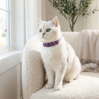 Collier pour chat en cuir violet