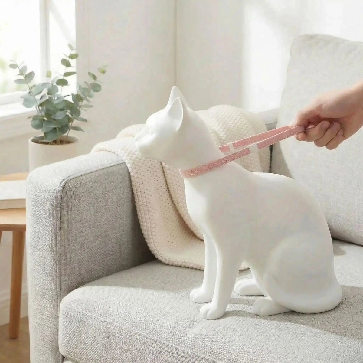 COLLIER POUR CHAT SÉCURITÉ | ROSE - Leschamour