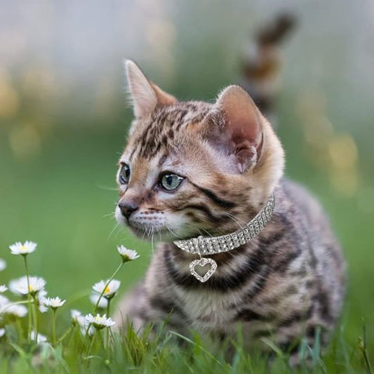 COLLIER POUR CHATON STRASS | AVEC CŒUR - Leschamour