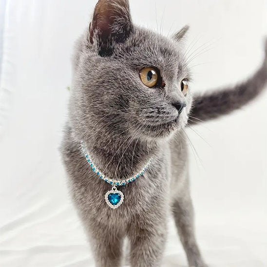 Collier pour chaton strass et pendentif cœur bleu