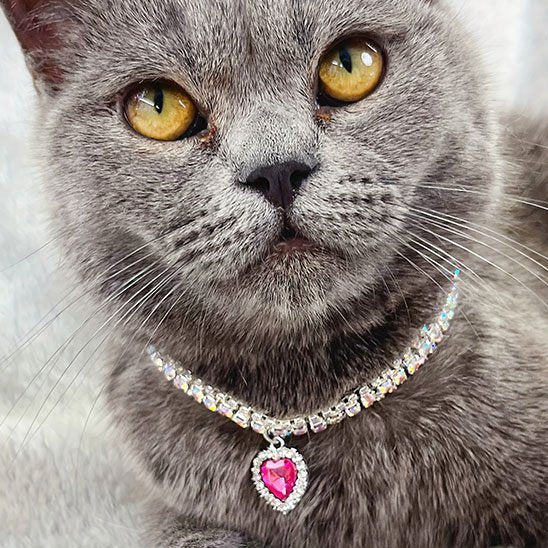 Collier pour chaton strass et pendentif cœur rose