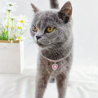 Collier pour chaton strass et pendentif cœur scintillant