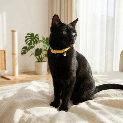 collier sécurité chat jaune