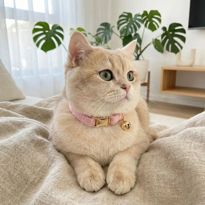 COLLIERS POUR CHATONS | EN VELOURS - Leschamour