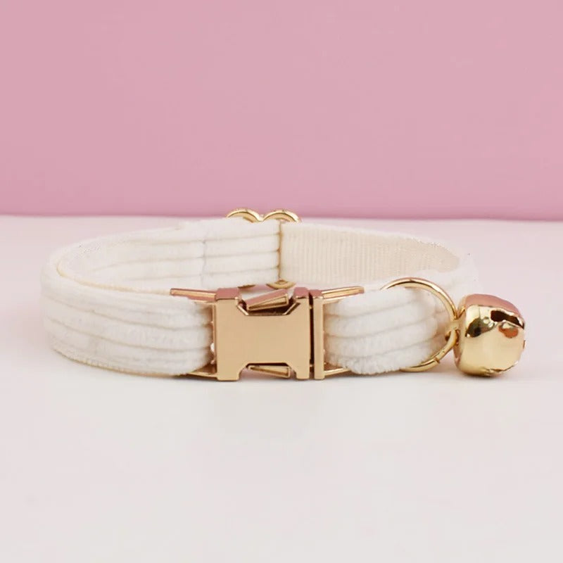 colliers pour chatons en velours clochette