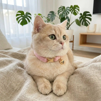 Colliers pour chatons en velours rose