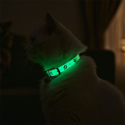 Colliers pour chats lumineux fluorescent