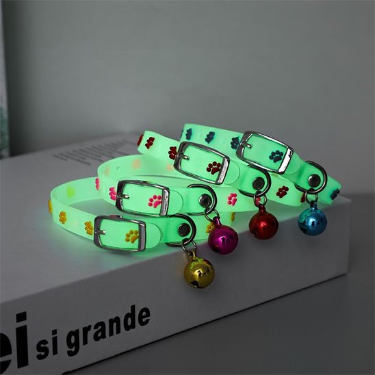 Colliers pour chats lumineux silicone