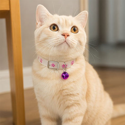 Colliers pour chats lumineux violet