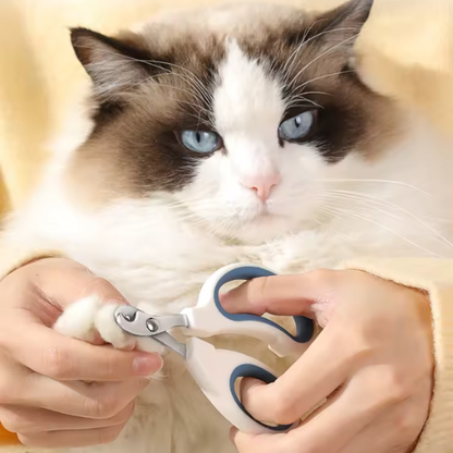 coupe-griffe-pour-chat-bleu