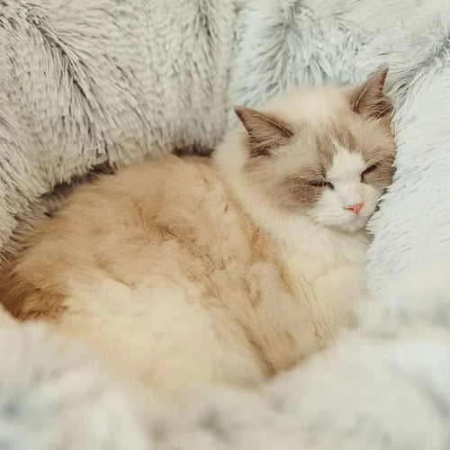 coussin-chat-confortable