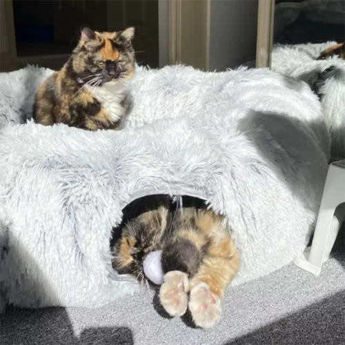 coussin-chat-douillet