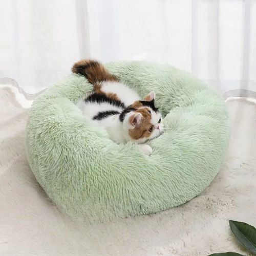 Coussin-chat-vert