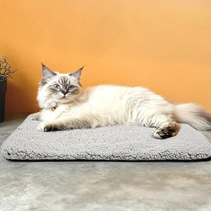 coussin moelleux chat