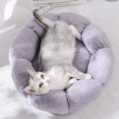 Coussin moelleux pour chat confortable