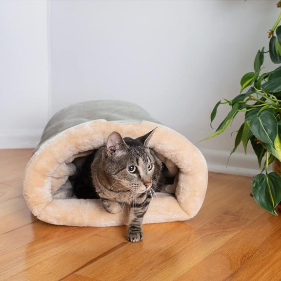 Coussin pour chat moelleux confortable