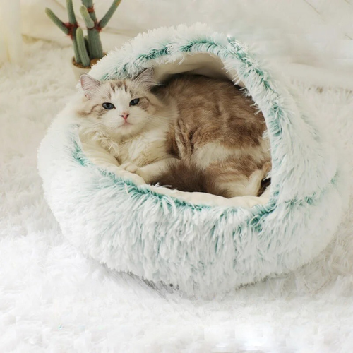 coussin_chat_vert