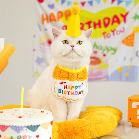 Déguisement-pour-chat-anniversaire-jaune