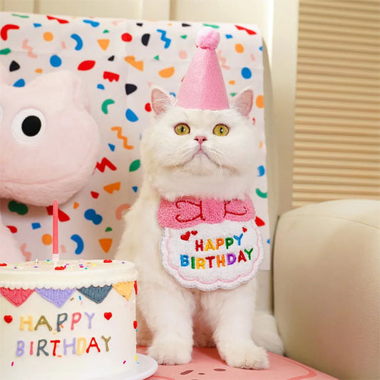 Déguisement-pour-chat-anniversaire-rose