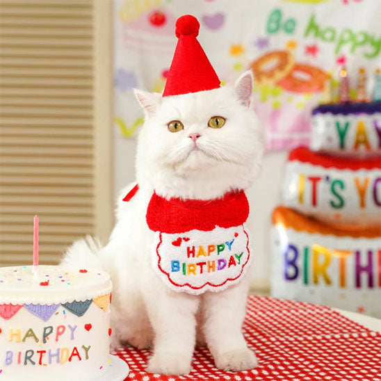 Déguisement-pour-chat-anniversaire-rouge