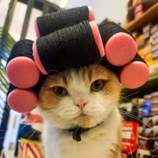 Déguisement-pour-chat-bigoudis-mignon