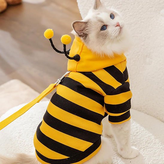 Déguisement-pour-chat-halloween-abeille-laisse