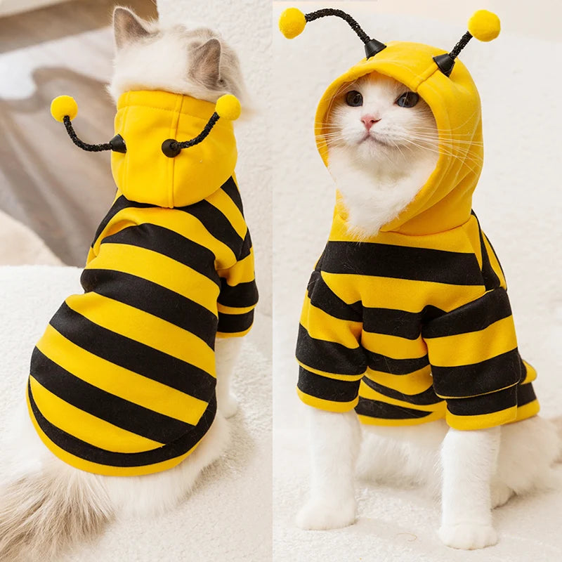 Déguisement-pour-chat-halloween-abeille-capuche