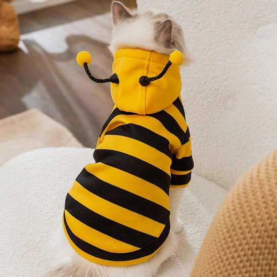 Déguisement-pour-chat-halloween-abeille-noir-jaune