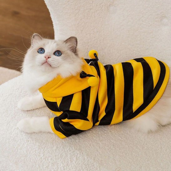 Déguisement-pour-chat-halloween-abeille-rayures