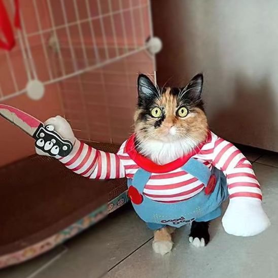 Déguisement-pour-chat-halloween-couteau-photos