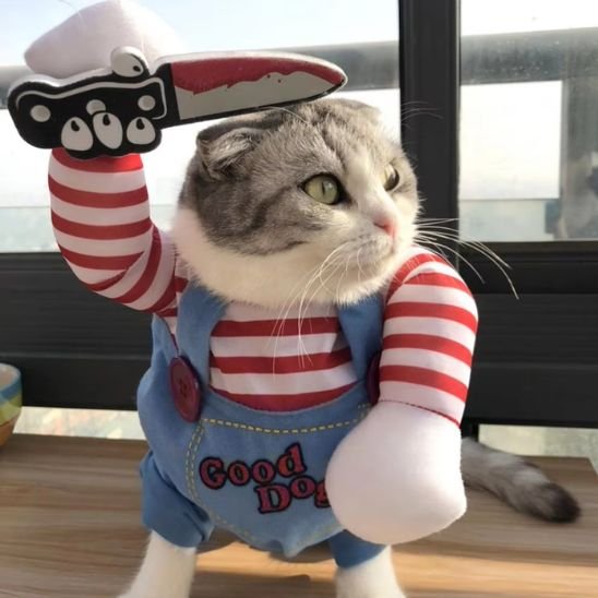 Déguisement-pour-chat-halloween-couteau