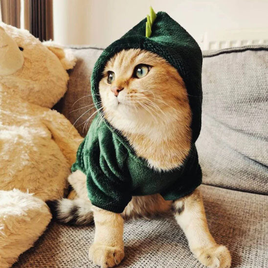 Déguisement-pour-chat-halloween-dinosaure-capuche