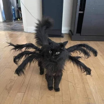 Déguisement-pour-chat-Halloween-noir