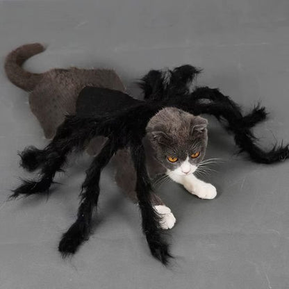 Déguisement-pour-chat-Halloween-velours-noir