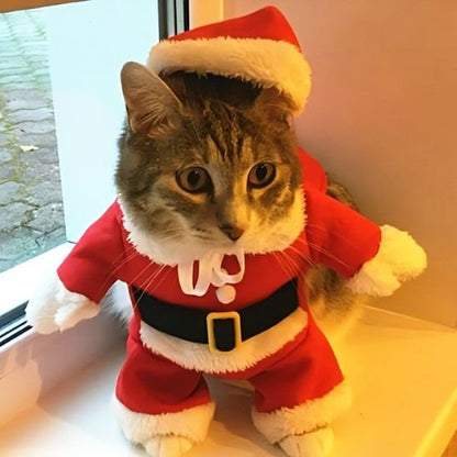 Déguisement-pour-chat-père Noël