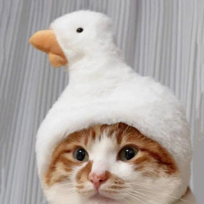 Déguisement-pour-les-chats-confortable