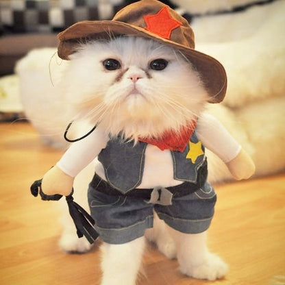 Déguisement-pour-les-chats-cowboy-mignon