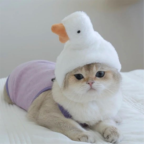 Déguisement-pour-les-chats-oie-blanche