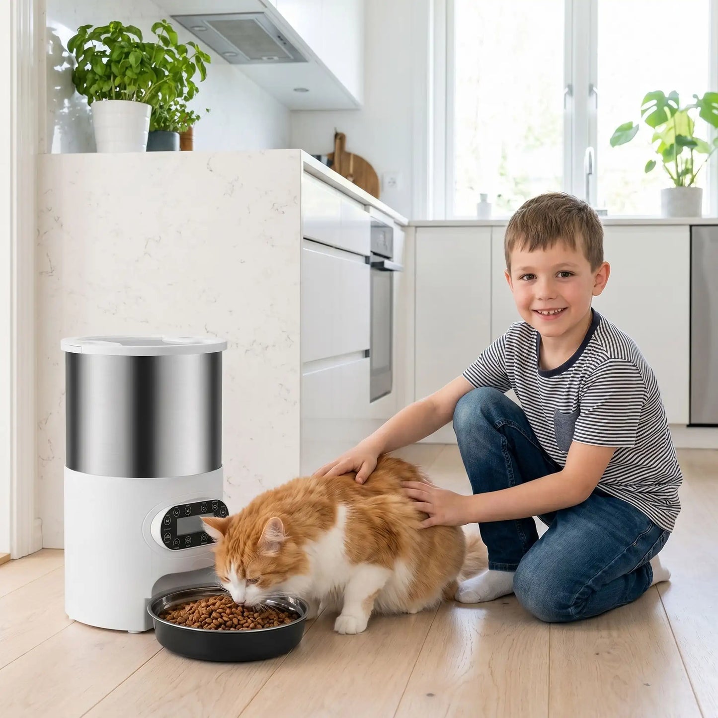 Distributeur automatique croquettes chat 4.5L dans cuisine
