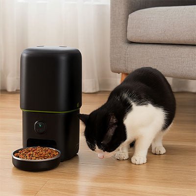 DISTRIBUTEUR AUTOMATIQUE DE CROQUETTES POUR CHAT | AVEC CAMÉRA 4L - Leschamour