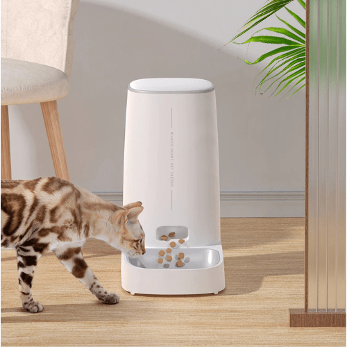 DISTRIBUTEUR CROQUETTE CHAT AUTOMATIQUE | WIFI - Leschamour